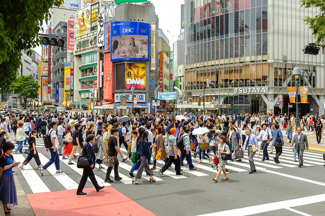 Tokyo Half-day Customized Private Tour - Reviews and Additional Information