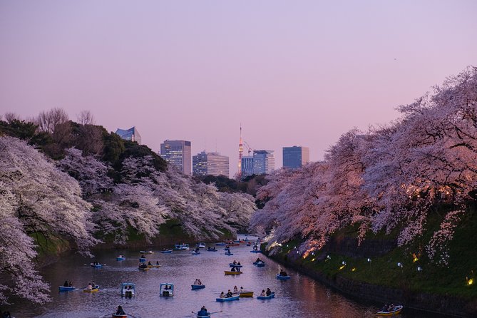 Tokyo Half-day Customized Private Tour - Directions