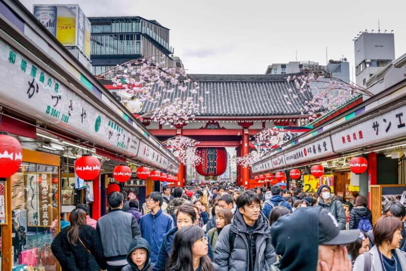 Tokyo: Half-Day Morning Small Group Tour - Authentic Insights from the Reviews