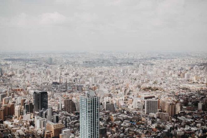 Tokyo, Half Day : Private Tour With an Expert ! - Customizable Itinerary Options