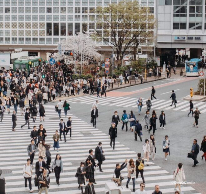 Tokyo, Half Day : Private Tour With an Expert ! - Included Features and Benefits