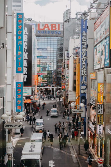 Tokyo, Half Day : Private Tour With an Expert ! - Highlights of the Tour