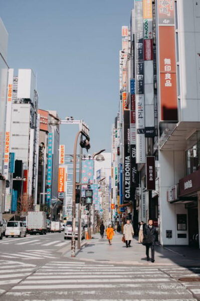 Tokyo, Half Day : Private Tour With an Expert ! - Tips for a Great Tour