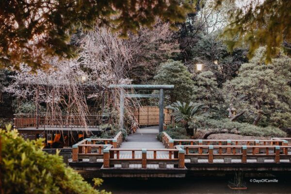 Tokyo, Half Day : Private Tour With an Expert ! - Frequently Asked Questions