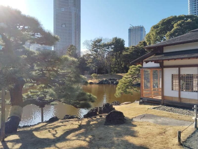 Tokyo: Hama-rikyu Garden Guided Tour with Entry Ticket - A Closer Look at the Itinerary