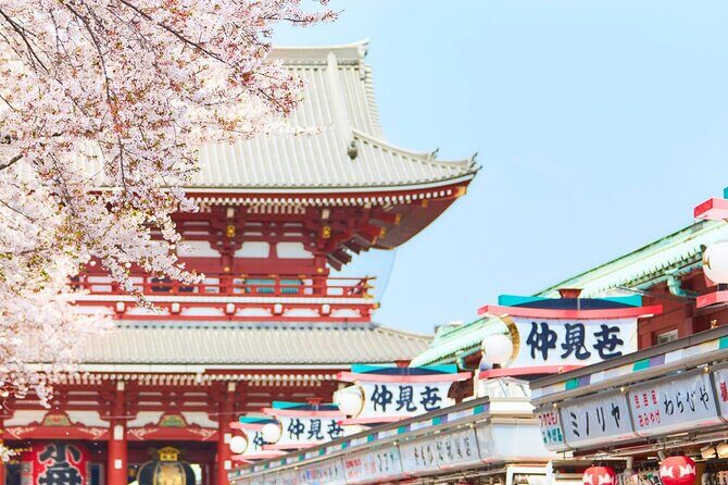 Tokyo : Hand-Roll Sushi Class, Skytree view & Asakusa Tour - A Deep Dive Into the Itinerary