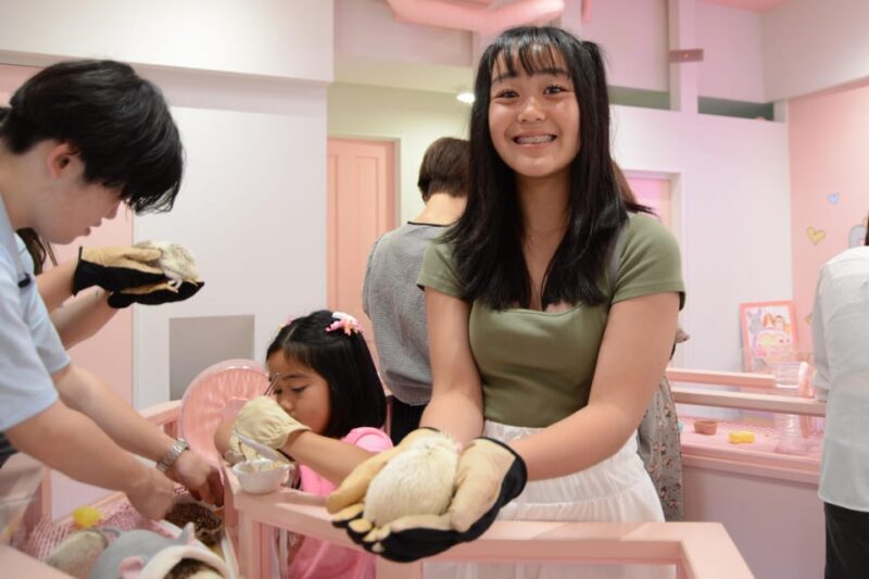 Tokyo: Harajuku Family Friendly Guided Walking Tour - Good To Know