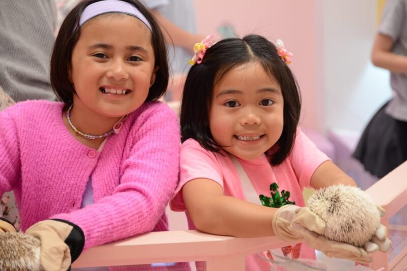 Tokyo: Harajuku Family Friendly Guided Walking Tour - The Sum Up