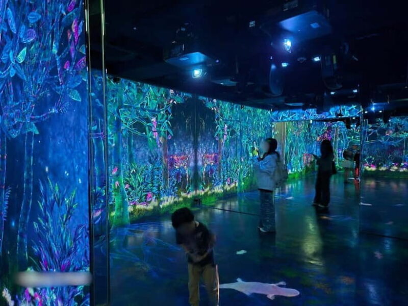 Tokyo: Harajuku "Kawaii" Pop Culture Shopping tour - Good To Know  