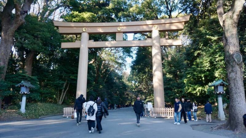 Tokyo: Harajuku Meiji Shrine Guided Tour-Discover Shinto - Good To Know