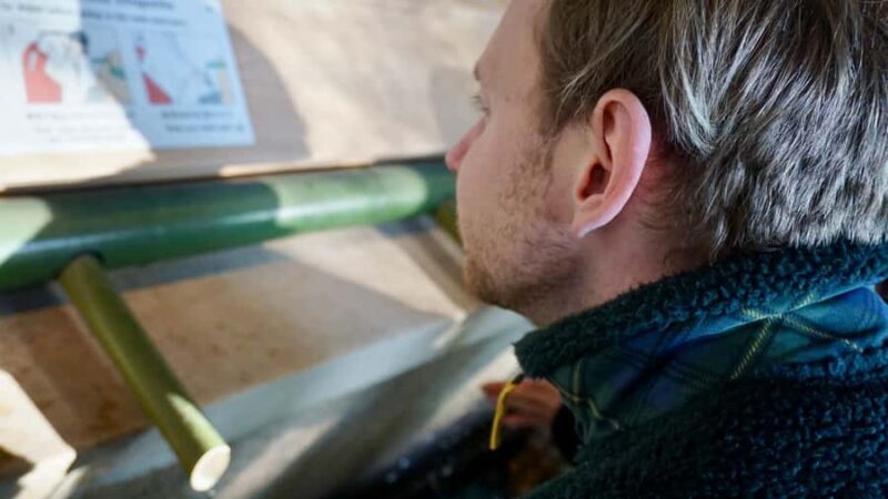 Tokyo: Harajuku Meiji Shrine Guided Tour-Discover Shinto - FAQ