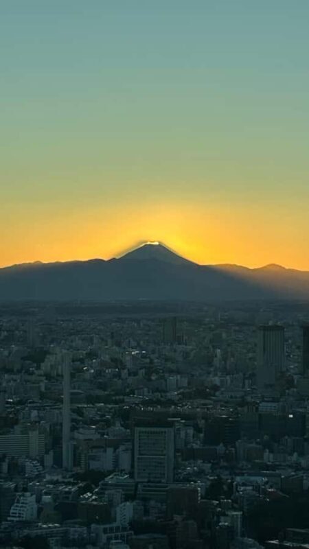 Tokyo: Harajuku, Meiji Shrine, Yoyogi Park & Roppongi Sunset - An Overview of the Tour Experience