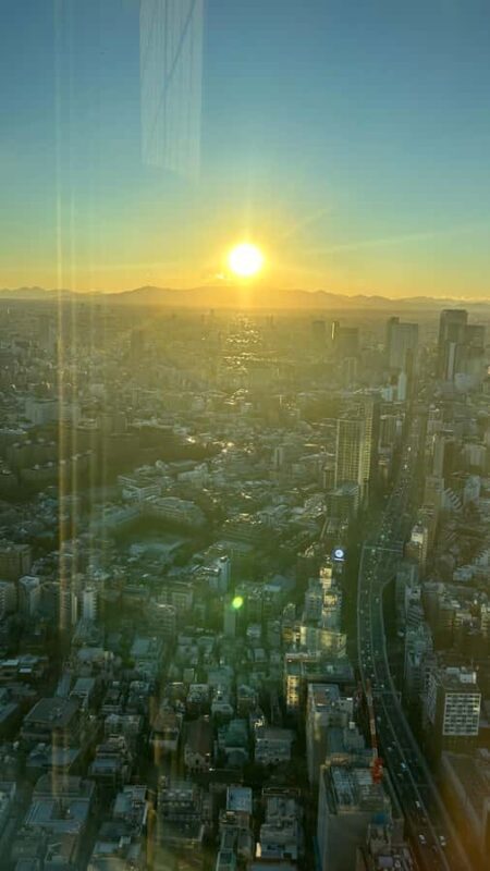 Tokyo: Harajuku, Meiji Shrine, Yoyogi Park & Roppongi Sunset - Transportation and Group Size