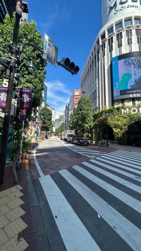 Tokyo: Harajuku, Meiji Shrine, Yoyogi Park & Roppongi Sunset - Final Thoughts