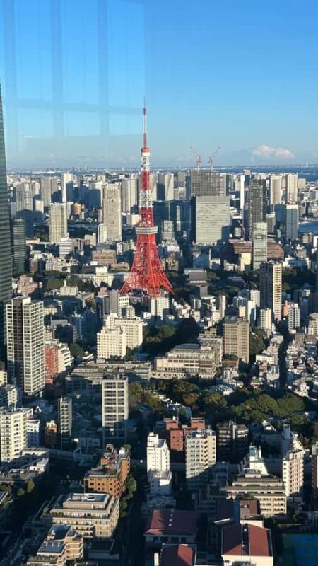 Tokyo: Harajuku, Meiji Shrine, Yoyogi Park & Roppongi Sunset - A Deep Dive into the Tour Experience