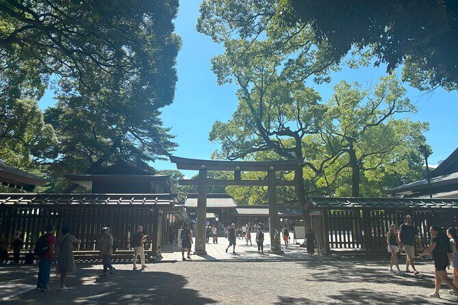 Tokyo Harajuku Walking Tour Meiji Jingu Yoyogi Park and More - An In-Depth Look at the Tour