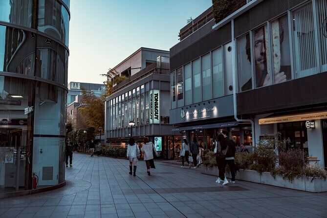 Tokyo Harajuku Walking Tour Meiji Jingu Yoyogi Park and More - A Closer Look at the Tokyo Harajuku Walking Tour