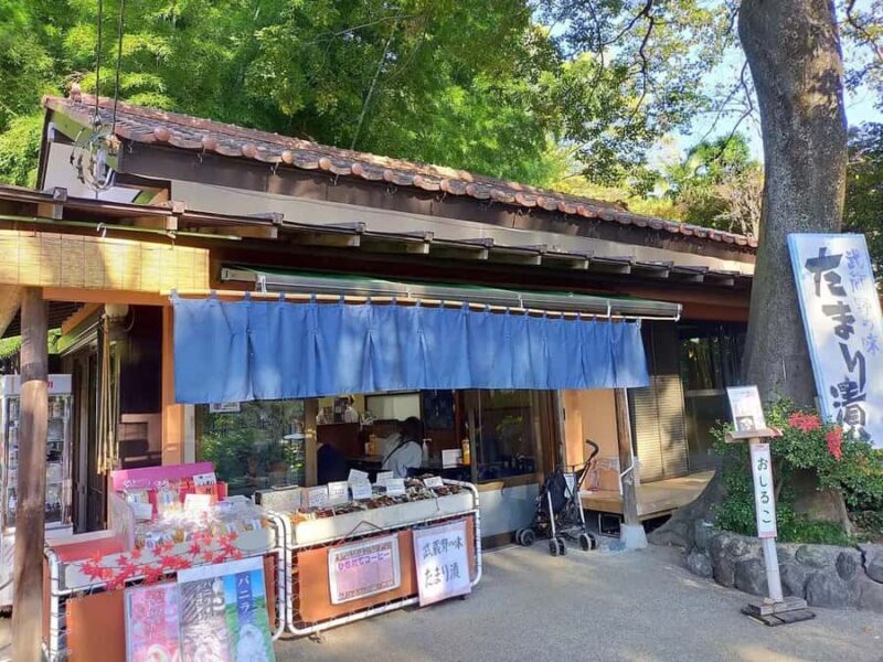 Tokyo: Heirinji Temple Monks Path & Forest Meditation Walk - Final Thoughts on Value