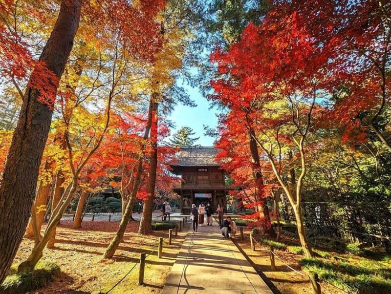 Tokyo: Heirinji Temple Monks Path & Forest Meditation Walk - Scenic Forest Walks and Seasonal Beauty