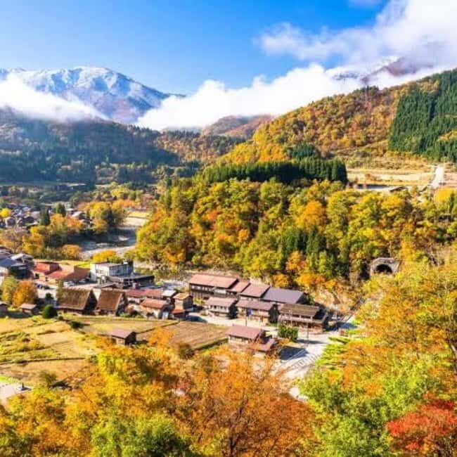 Tokyo: Hida Takayama & Shirakawa-go Day Trip with Guide - FAQ  