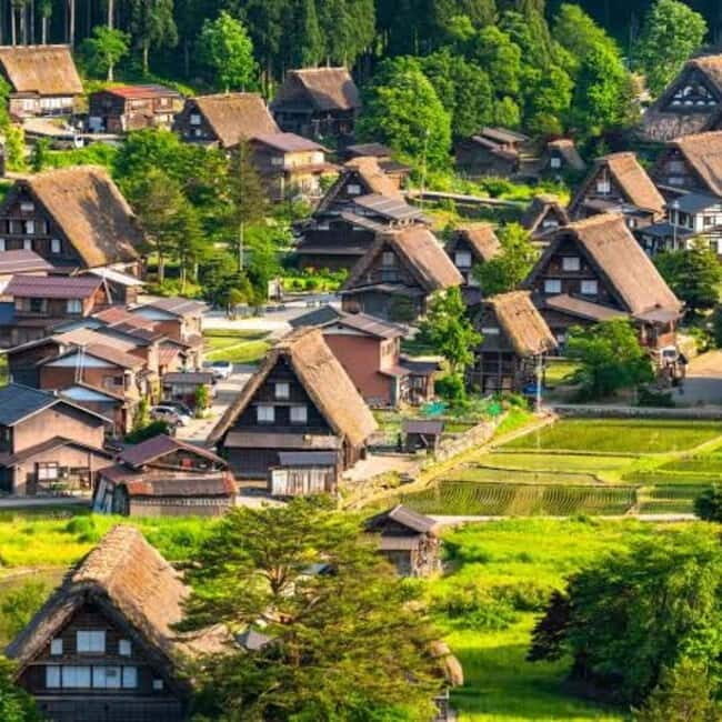 Tokyo: Hida Takayama & Shirakawa-go Day Trip with Guide - Good To Know