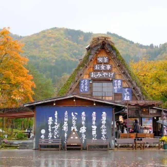 Tokyo: Hida Takayama & Shirakawa-go Day Trip with Guide - FAQ