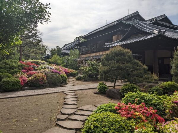 Tokyo: Hidden Temples Tour - Local Attractions Nearby