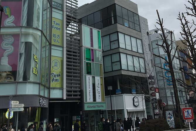 Tokyo Highlights Food and Culture - Historical Landmarks and Cultural Sites