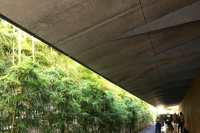 Tokyo Highlights Food and Culture - Traditional Japanese Tea Ceremony