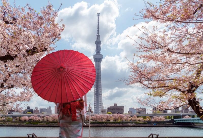 Tokyo Highlights Private Day Trip - A private ride through Tokyo’s contrasts