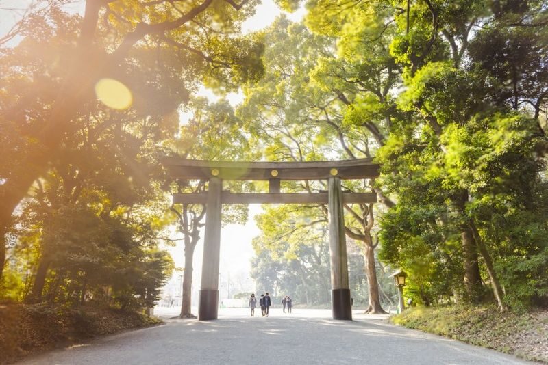 Tokyo Highlights Private Day Trip - What a 10-hour itinerary can really hold