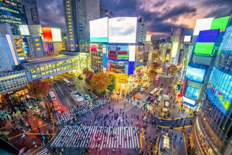 Tokyo Highlights Private Day Trip - The service you should expect