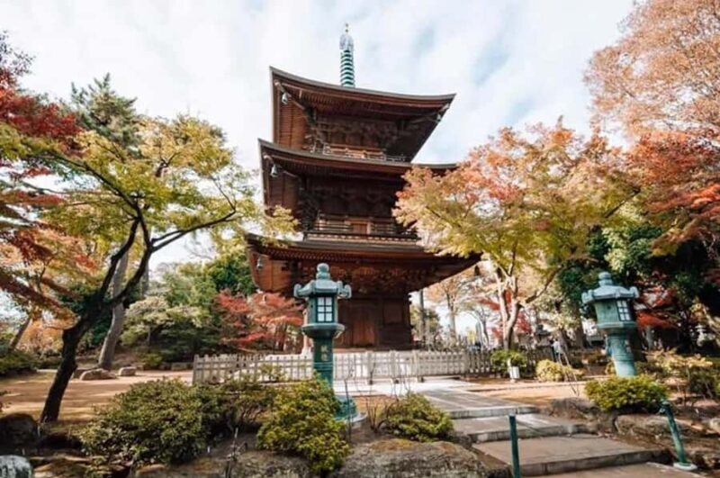 Tokyo Highlights Private Tour: Market, Temples & Skyline Day - An In-Depth Look at the Tokyo Highlights Private Tour