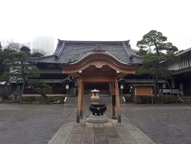 Tokyo Highlights Private Tour: Market, Temples & Skyline Day - Practical Aspects & Value