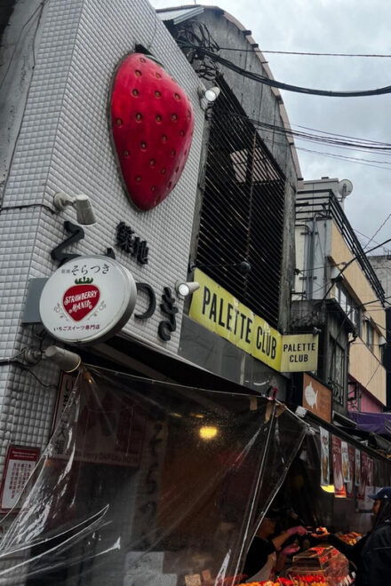 Tokyo Highlights Tour: Sumo, Sushi, Tea, and Tokyo Tower - Hama-rikyu Gardens