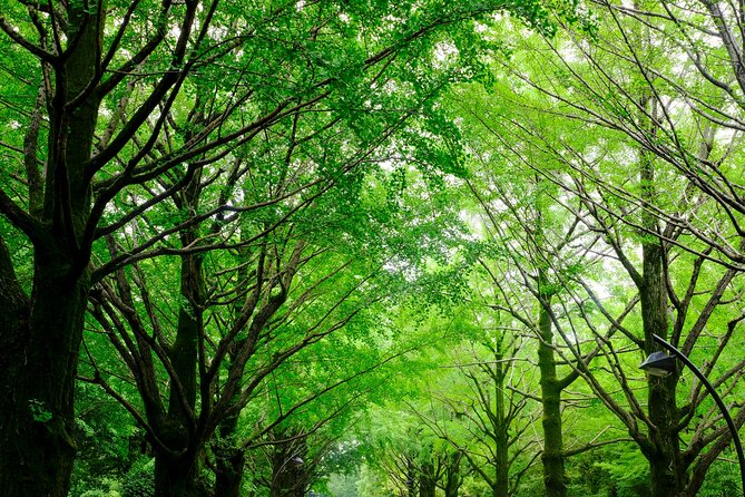 Tokyo Hikarigaoka Park Photo Shooting - Tips for a Successful Photo Shoot