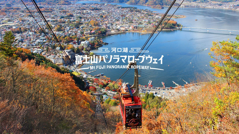Tokyo Hikawa Clock Shop & Mt. Fuji Full-Day Private Tour - Five stops, with different reasons to go
