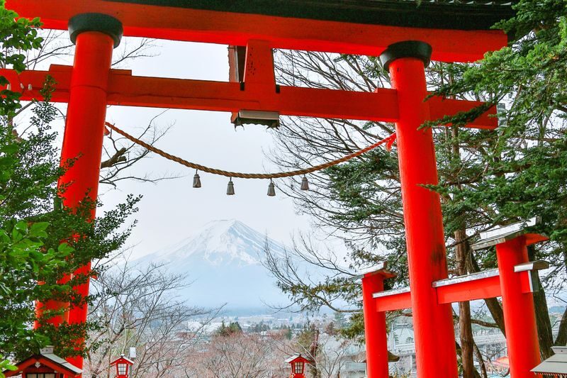 Tokyo Hikawa Clock Shop & Mt. Fuji Full-Day Private Tour - The driver can make or break the day