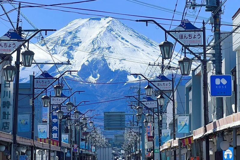 Tokyo Hikawa Clock Shop & Mt. Fuji Full-Day Private Tour - Is $417.19 good value?