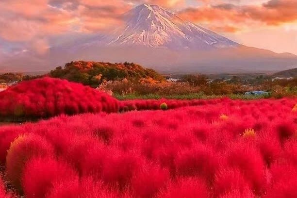Tokyo Hikawa Clock Shop & Mt. Fuji Full-Day Private Tour - Booking details worth checking