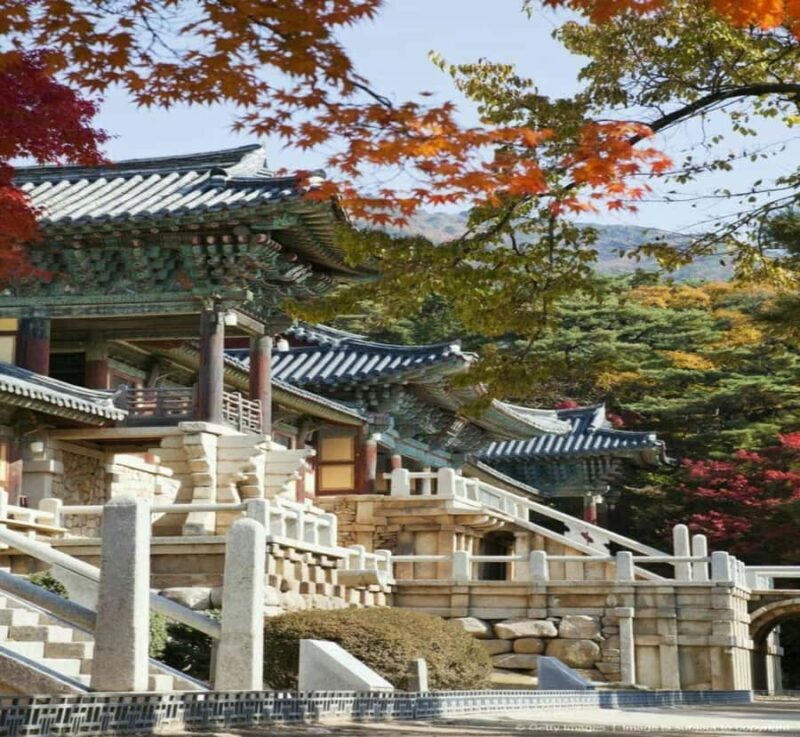 Tokyo: Hiroshima Private Day Trip with Guide & Transfers - Final Thoughts