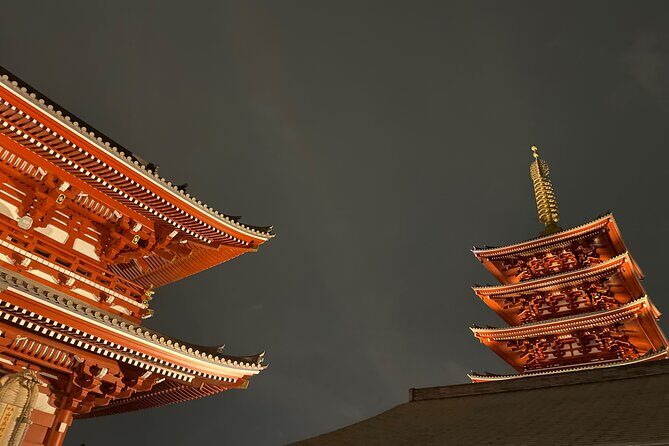 Tokyo Historian and Photographer Private Tour - FAQ