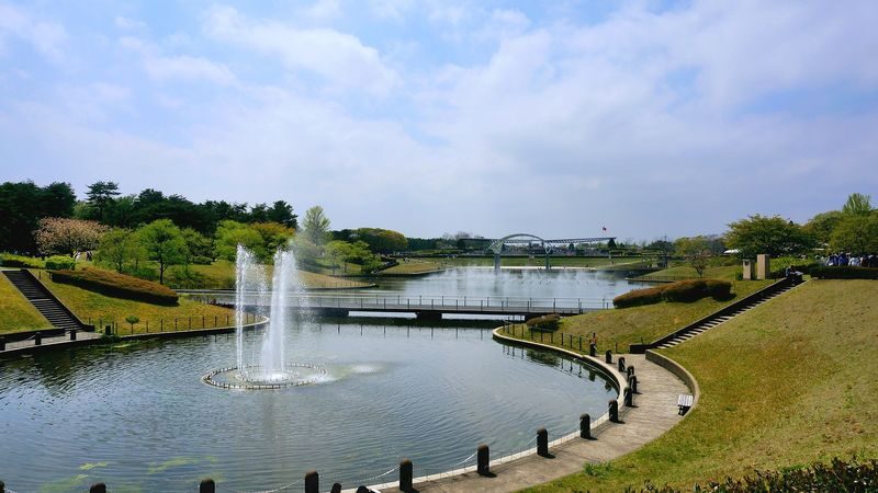 Tokyo Hitachi Seaside & Ashikaga Flower Park with Nemophila & Wisteria - Who should book this outing?