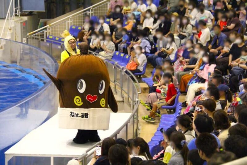 Tokyo: Hitachi Seaside Park & Aquaworld Oarai Aquarium Tour - The Itinerary Breakdown