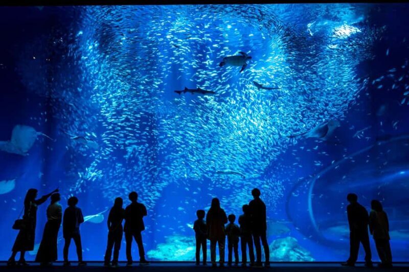 Tokyo: Hitachi Seaside Park & Aquaworld Oarai Aquarium Tour - Practical Details & Considerations