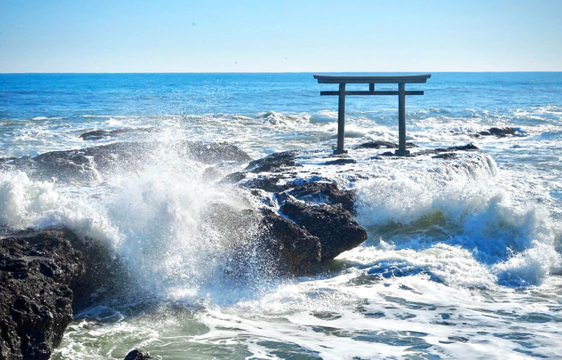 Tokyo Hitachi Seaside Park & Oarai Isosaki Shrine Day Trip (including flower viewing) - Three Ibaraki stops, one long day