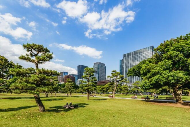 Tokyo: Hop-On Hop-Off Sightseeing Bus Ticket - Review Summary