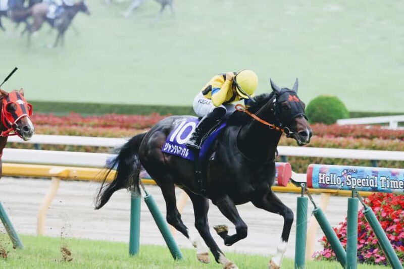 Tokyo: Horse Racing Experience with Local Fan - Authenticity and Unique Aspects