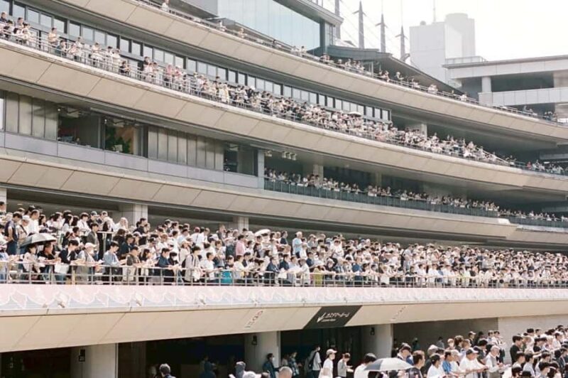 Tokyo: Horse Racing Experience with Local Fan - The Sum Up
