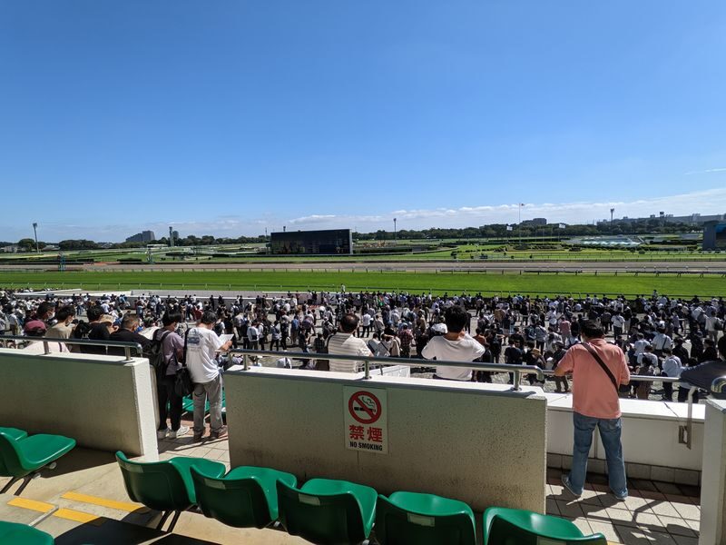 Tokyo Horse Racing Experience with Local Fan - Between races: food, drinks, and the crowd
